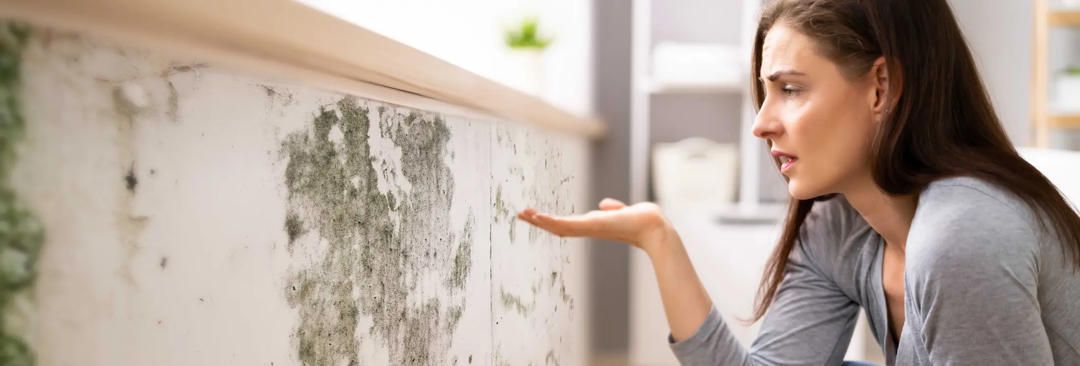 Brush Coating Österreich Brush Coating Österreich